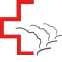 SwissNeoNet Logo